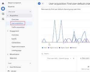 User di Google Analytics
